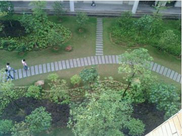 （图三）二等奖：徐春连（13级电商1班 E1栋302） 《人生路》