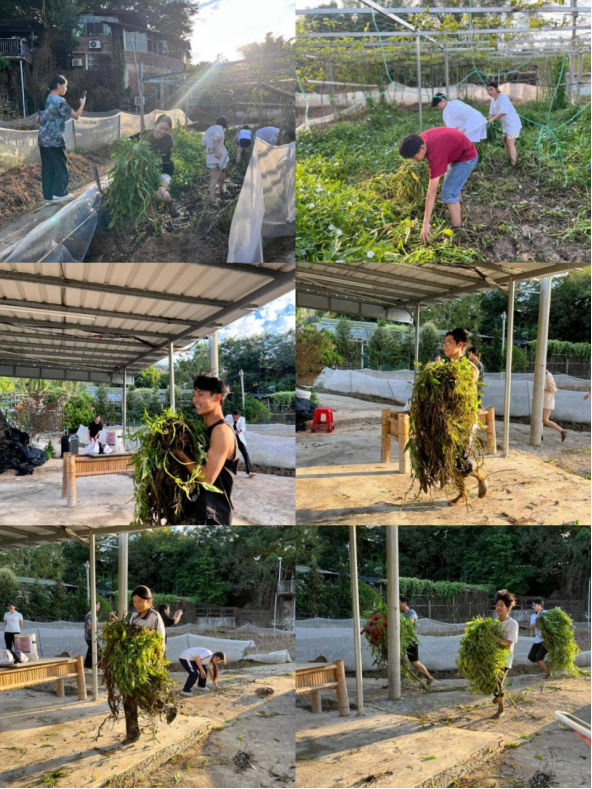 1763562111746907.png 艺术设计系学生会赴梧桐山农家乐团建(2)287.png