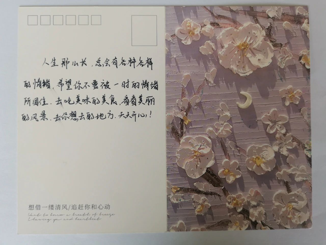 1693361450306540.jpg