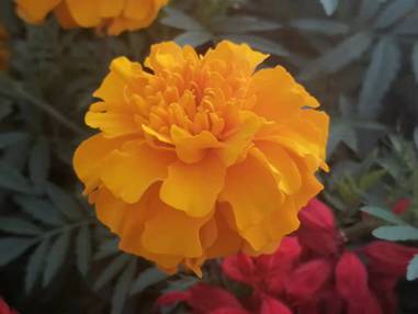 image008.jpg