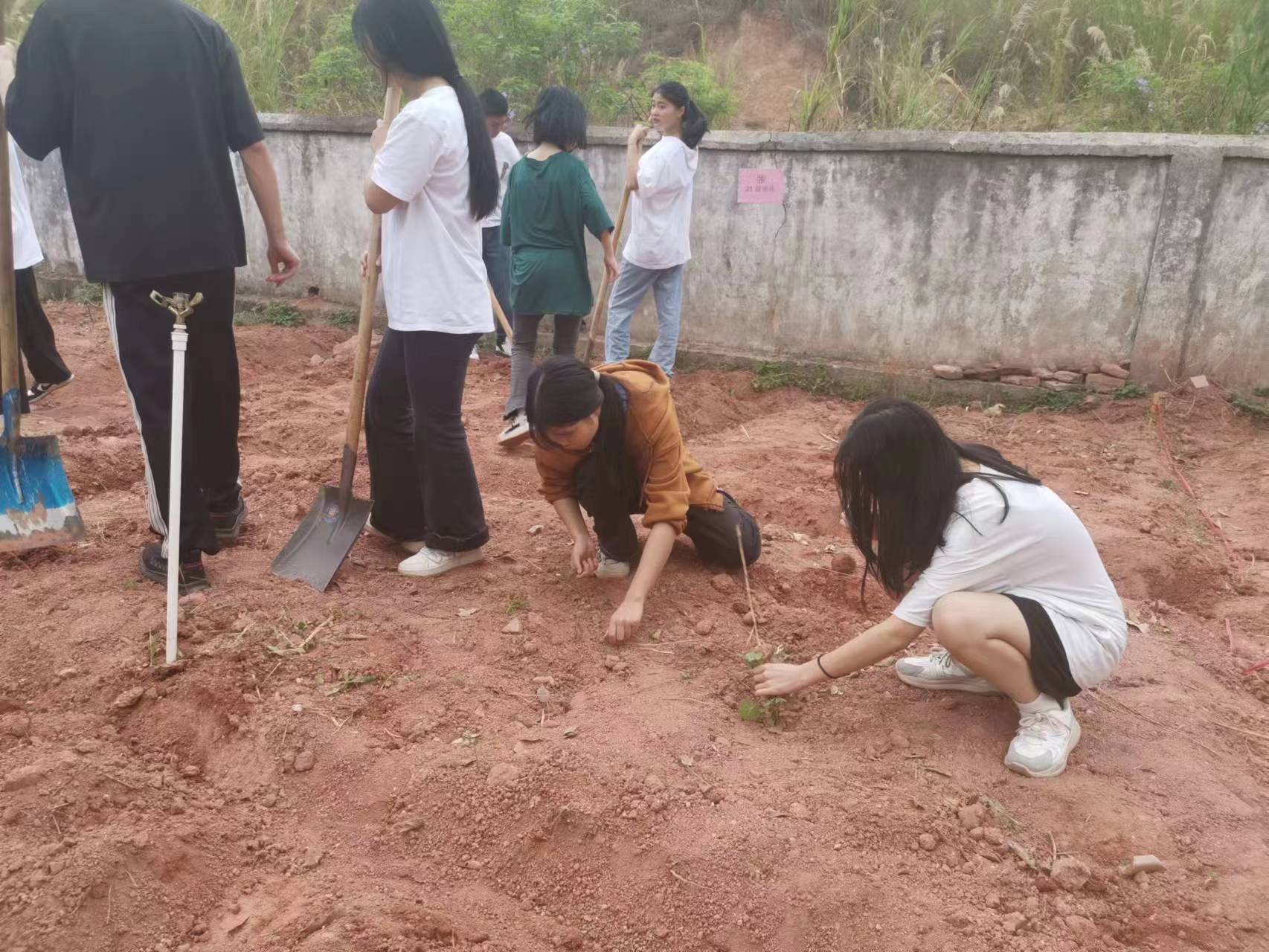 微信图片_20230326195939.jpg